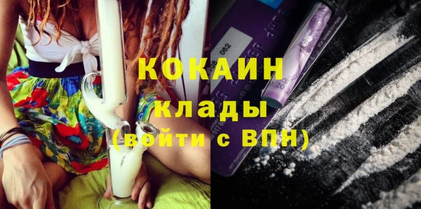 стаф Абинск