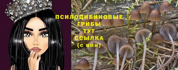 прущий лед Абдулино