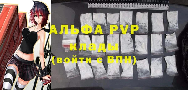 стаф Абинск